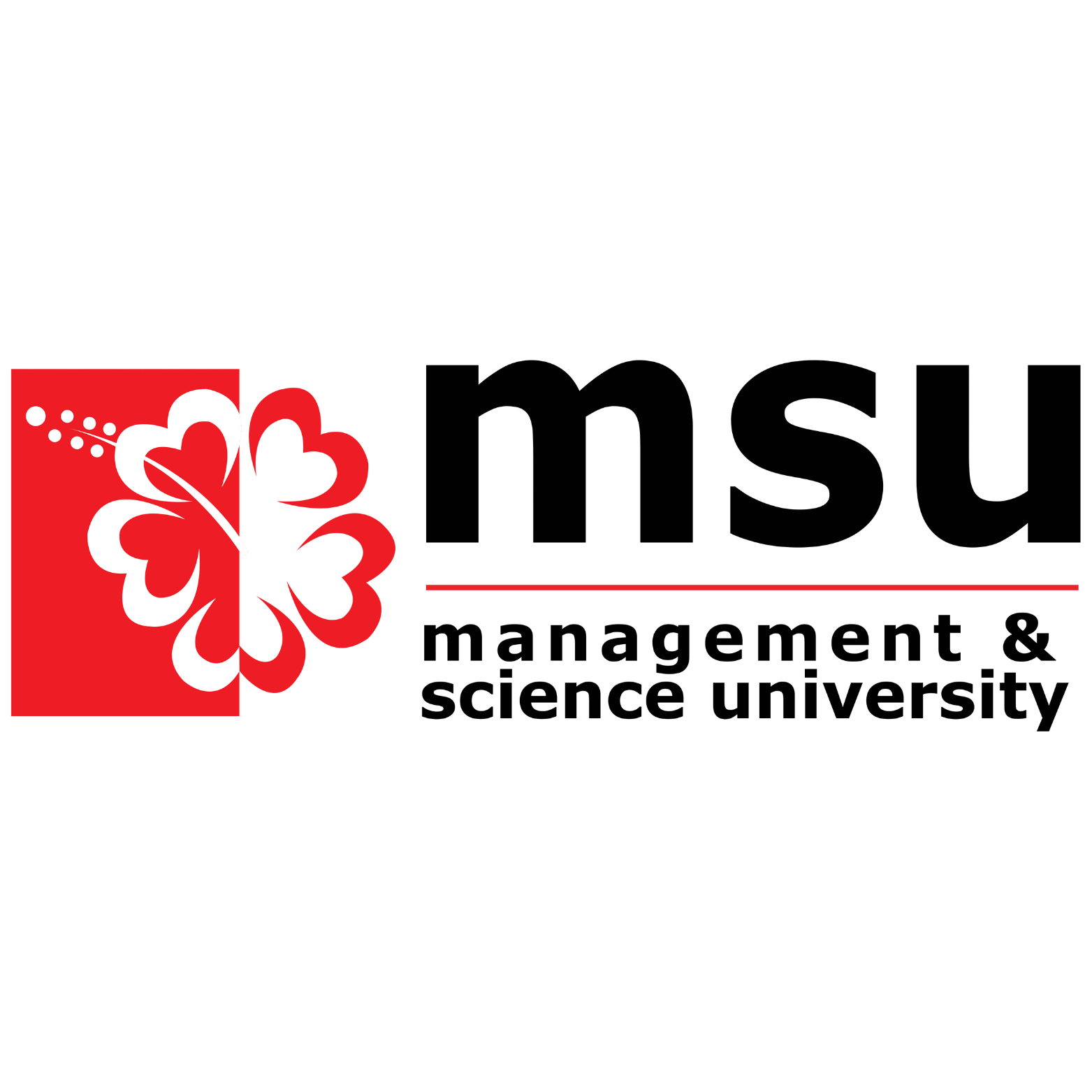 Management &amp; Science University Logo